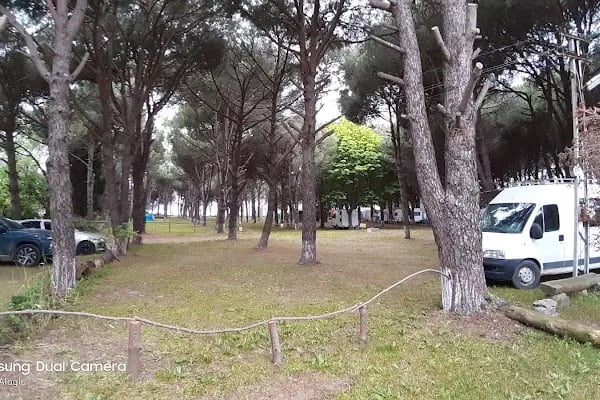 ANT Camping - Resim 15