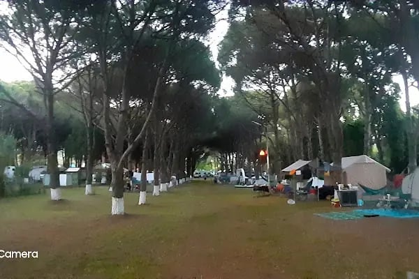 ANT Camping - Resim 17