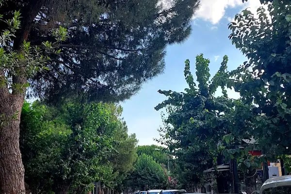 Öğretmen Evleri Sokağı Vali Rahmi Bey - Resim 4