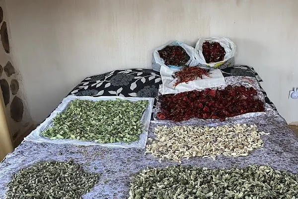 Gilevgi kalesi Likya kamp yeri - Resim 9