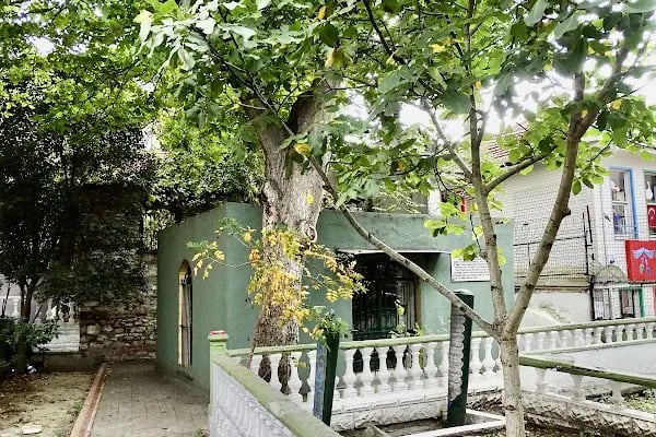 Şeyh Mehmet Haffaf Hazretlerinin Türbesi - Resim 19