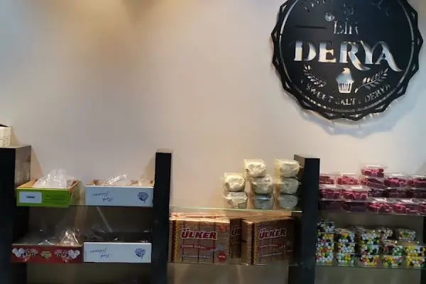 Tatlı Tuzlu Bir Derya - Resim 16