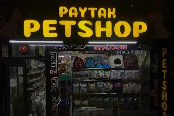 Paytak petshop - Resim 13