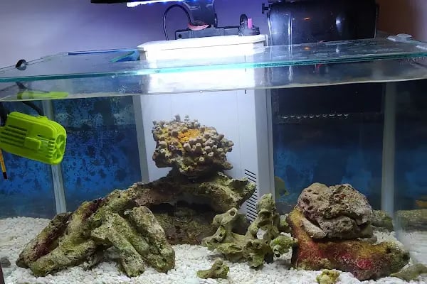 Paytak petshop - Resim 4