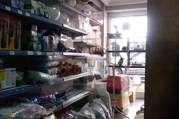 Paytak petshop - Resim 2