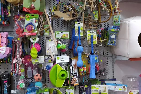 Paytak petshop - Resim 20