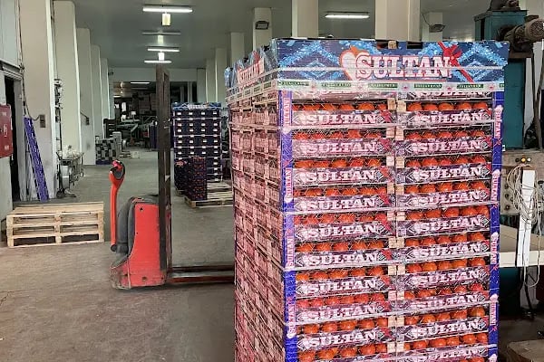 HACIBEY SULTAN İTHALAT İHRACAT TİC LTD ŞTİ - Resim 19