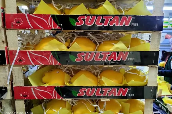 HACIBEY SULTAN İTHALAT İHRACAT TİC LTD ŞTİ - Resim 18