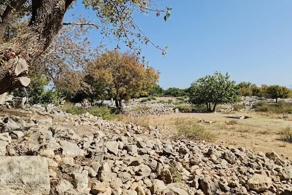 Teos Antik Kenti - Resim 7