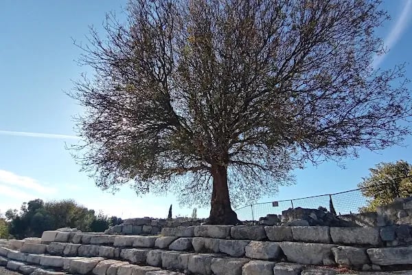 Teos Antik Kenti - Resim 9