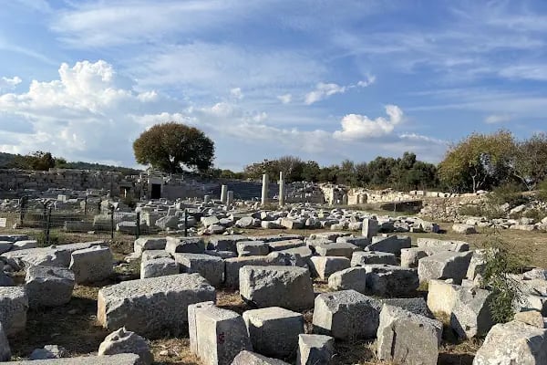 Teos Antik Kenti - Resim 6