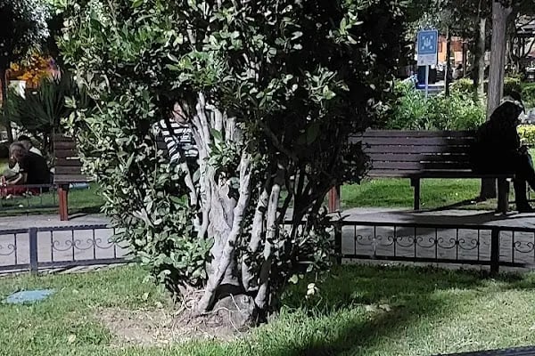 125.yıl parkı - Resim 18