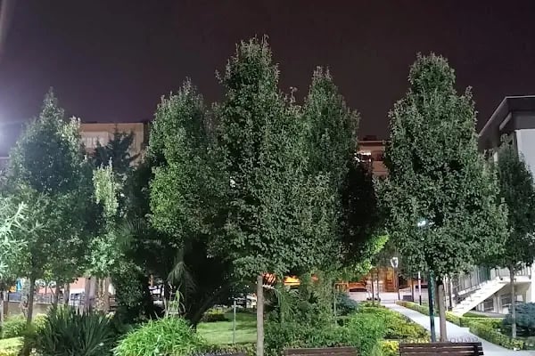 125.yıl parkı - Resim 3