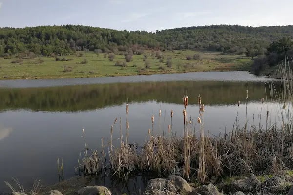 Depelarkası Bakırlı gölü - Resim 14