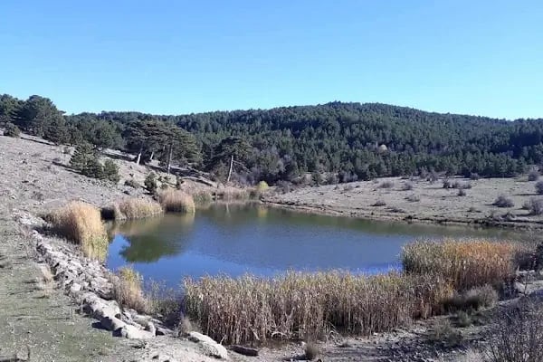 Depelarkası Bakırlı gölü - Resim 5