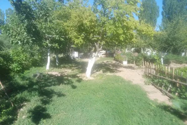 Kavaklı Köyü Cami - Resim 1