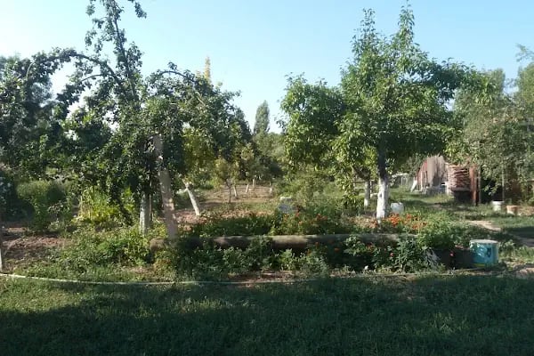Kavaklı Köyü Cami - Resim 4