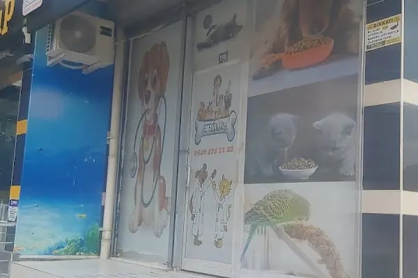 Erenköy Veteriner Kliniği - Resim 4