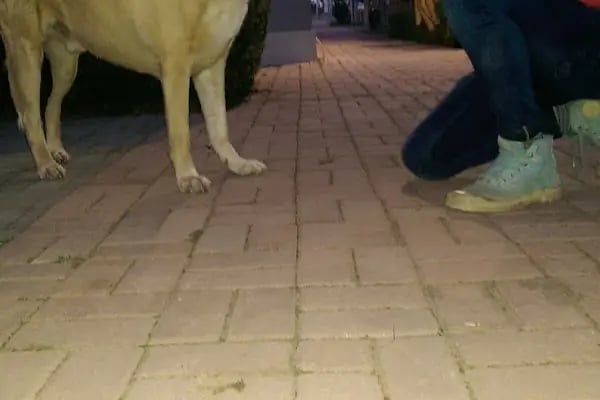 Fatmanur Hacıfazlıoğlu Çocuk Parkı - Resim 4