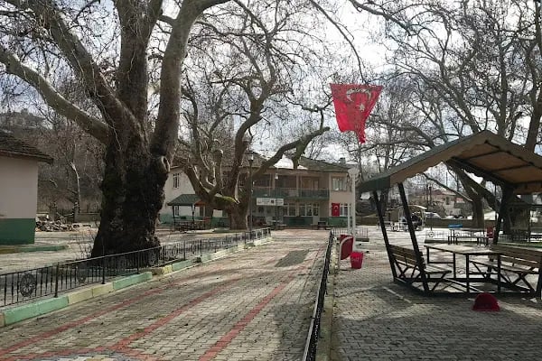 Haydariye Merkez Cami - Resim 12