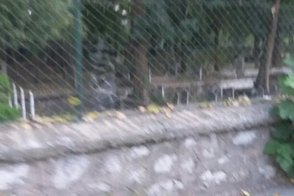 Yorgalar Ve Şehitlik Mezarlığı - Resim 20