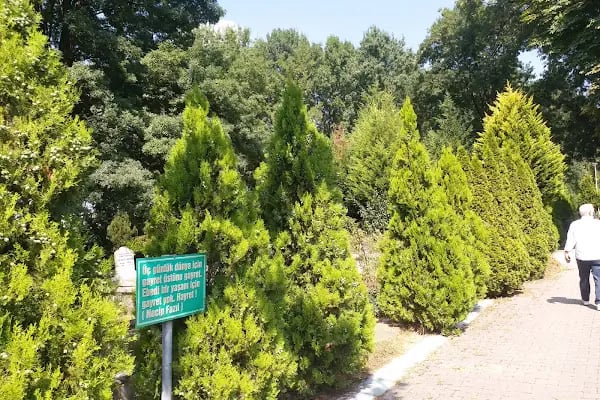 Yorgalar Ve Şehitlik Mezarlığı - Resim 5