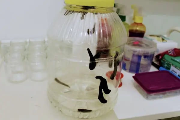 Terapi Masaj Merkezi Hacamat Tedavisi Sülük Tedavisi Fıtık Tedavisi Medikal Masaj Bioenerji Masajı Fast Tedavisi - Resim 9