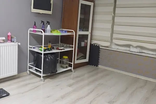 Terapi Masaj Merkezi Hacamat Tedavisi Sülük Tedavisi Fıtık Tedavisi Medikal Masaj Bioenerji Masajı Fast Tedavisi - Resim 14