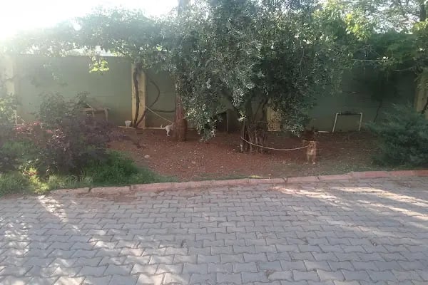 Dimka Halt Ve İplik Fabrikasi - Resim 3
