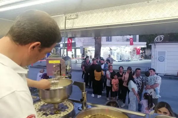 Seren'in Doğal Dünyası - Resim 3