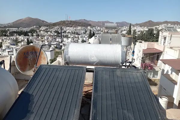 Seren'in Doğal Dünyası - Resim 8