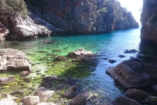 Kekova Flower Pansiyon&amp;Cafe - Resim 6