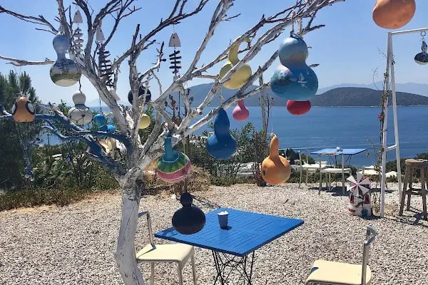 Şalvarağa Cafe - Resim 4