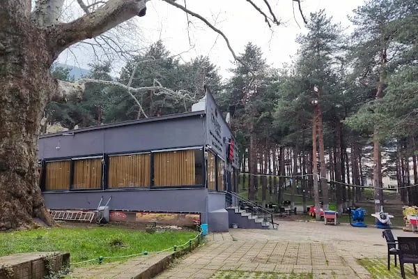 Rüya Organizasyon & Kına Evi - Resim 2
