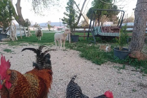 Efeler Kırbahcesi Bergama ManTar - Resim 4