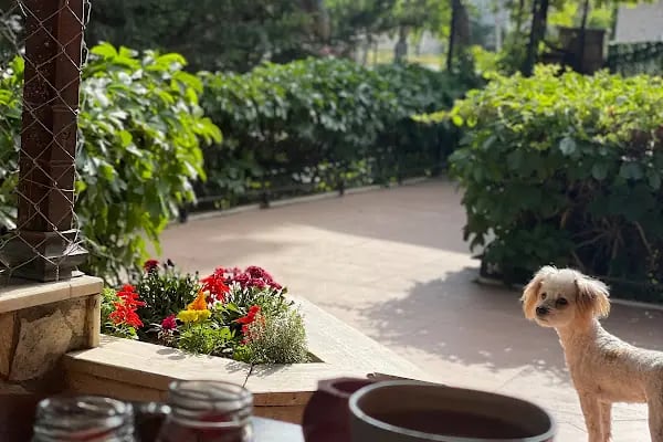 KONYA PEDAGOG -PSİKOMED DANIŞMANLIK-KONYA ÇOCUK VE ERGEN PSİKOLOJİ MERKEZİ-KONYA PSİKOLOG-KONYA PEDAGOG KLİNİĞİ AYFER DUMAN - Resim 3