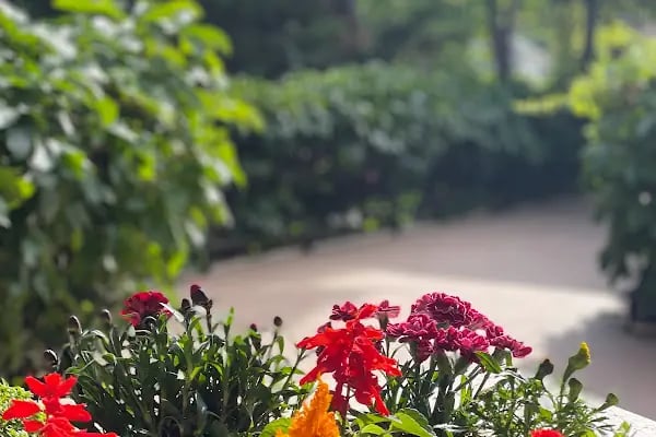 KONYA PEDAGOG -PSİKOMED DANIŞMANLIK-KONYA ÇOCUK VE ERGEN PSİKOLOJİ MERKEZİ-KONYA PSİKOLOG-KONYA PEDAGOG KLİNİĞİ AYFER DUMAN - Resim 10