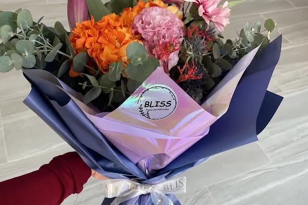 BLISS - Resim 3