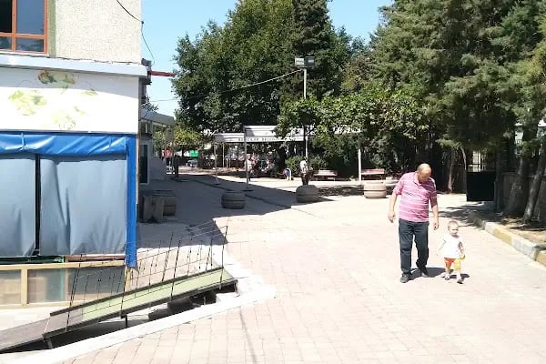 T.C. Müftülüğü Molla Gürani Cami - Resim 11