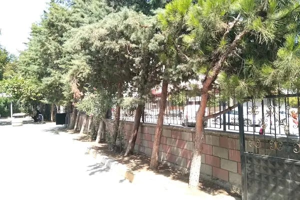 T.C. Müftülüğü Molla Gürani Cami - Resim 12