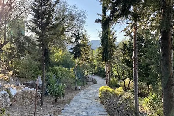 cafer paşa türbesi - Resim 2