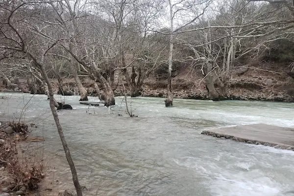 Handost Canlı Alabalık - Resim 11