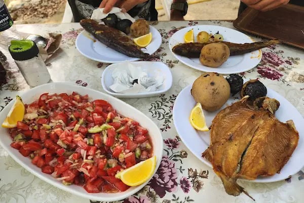Handost Canlı Alabalık - Resim 9
