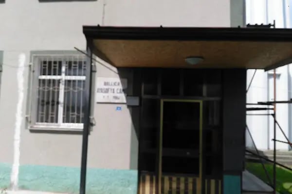 Ballica Ayasofya Cami - Resim 4