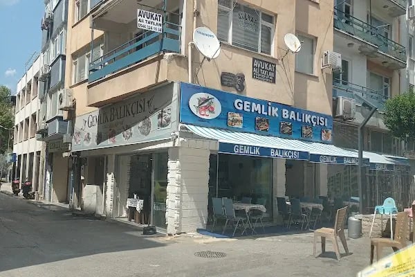 Gemlik Balıkçısı - Resim 8