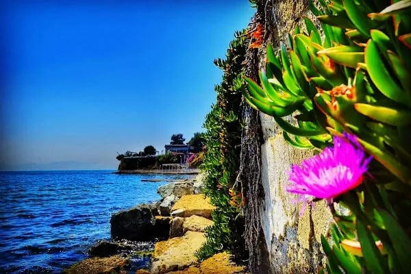 Gemlik Balıkçısı - Resim 20