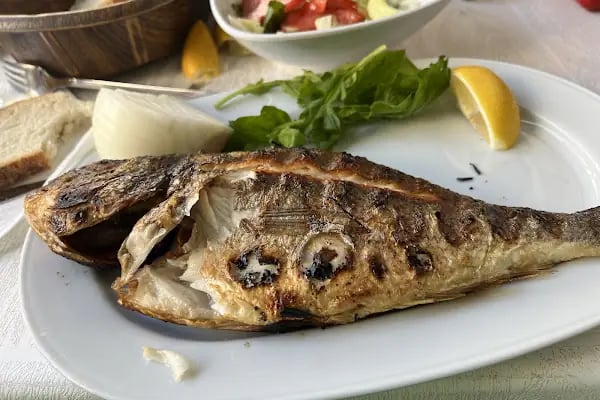 Gemlik Balıkçısı - Resim 4