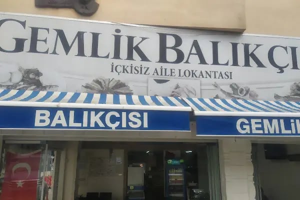 Gemlik Balıkçısı - Resim 3