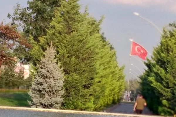 Özel Cihangir Hastanesi - Resim 7