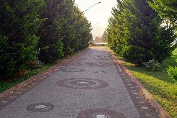 Özel Cihangir Hastanesi - Resim 17